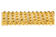 LIGHTVISION, LightVision Lichtschlauch 12m gold LED