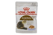 Royal Canin Ageing +12 in Gelee - 24 x 85 g