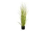 Zwiebelgras IN Topf Gruen H120Xd45Cm