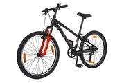 Mountainbike Driftwood 24