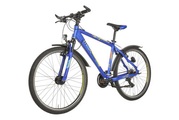 Raleigh, RALEIGH Kidsbike DIRTMAX 26