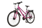 Raleigh, RALEIGH Kidsbike FUNMAX 26