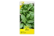 Select SB Spinat Butterblatt