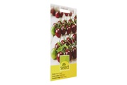 SELECT Tomaten BLACK CHERRY