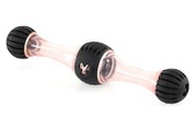 SwissPet Hundespielzeug Squezze Bone L Hunde Spielzeug