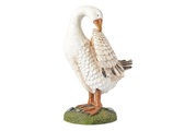 Gans Martin