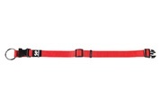 TrendLine ONE Halsband 10/200-300mm rot