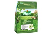GESAL Rasen Langzeitdünger PERFECT