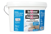 SCHIMMEL X, SCHIMMEL X Innendispersion