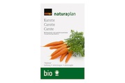 Bio Karotte 'Nantaise' halblang