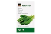 Bio Spinat 'Winterriese'
