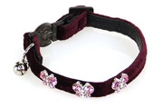 DeluxeLine Katzenhalsband Victoria