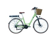 Leopard, Leopard E-Citybike Retro 28, 48 cm, nil grün