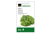 Bio Naturaplan Spinat 'Butterfly'
