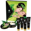Axami - Box Exotic Green Tea - 5 Teile