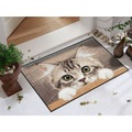 Türmatte Katze