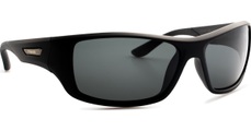 Polaroid Sonnenbrillen PLD 7013/S Polarized 807/M9