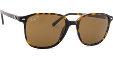 Ray-Ban Sonnenbrillen RB2193 Leonard Polarized 902/57