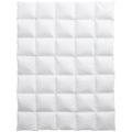 Billerbeck, Montreux 100 160x210 Duvet