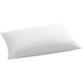 Billerbeck, billerbeck - Kopfkissen HIRSE/DAUNEN - weiss - Baumwolle - 50cm/70cm
