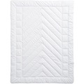 billerbeck - Duvet CAMEL UNO - weiss - Baumwolle - 160cm/240cm