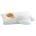 Billerbeck, billerbeck - Kopfkissen CASA HIRSE - Baumwolle - weiss - 50/70 cm