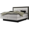 Coop Boxspringbett Nevada
