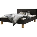 Coop Bett Dream Pronto