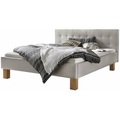 Coop Bett Dream Pronto