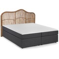 Boxspringbett Dättwil