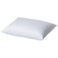 duvetsuisse.com Kissen Forte Standard