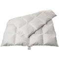 duvetsuisse.com Daunenduvet Warm Goose Standard