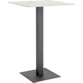Bartisch Tamin
