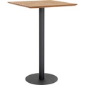 Bartisch Tamin