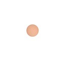MAC Pro Palette Sheertone Shimmer Blush Trace Gold Pro Palette Sheertone Shimmer Blush Refill Rouge 6g