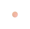 MAC Pro Palette Eyeshadow Arena Pro Palette Eyeshadow Lidschatten 1.5 g