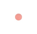 MAC Pro Palette Sheertone Blush Peaches Pro Palette Sheertone Blush Refill Rouge 6g