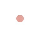 MAC Pro Palette Sheertone Blush Gingerly Pro Palette Sheertone Blush Refill Rouge 6g