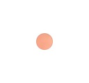 Mac Cosmetics - Shaping Powder (Pro Palette Refill Pan) - Warm Light