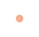 Mac Cosmetics - Eye Shadow (Pro Palette Refill Pan) - Motif!