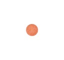 Mac Cosmetics - Eye Shadow (Pro Palette Refill Pan) - Tutu Good