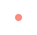 Mac Cosmetics - Eye Shadow (Pro Palette Refill Pan) - Coral