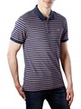 Levi‘s Standard Good Polos Sprinkler Birdsey
