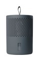 Absodry Duo Family Luftentfeuchter Grau