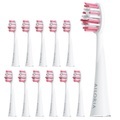 Ailoria 12er Pack Extra Clean Bürstenkopf Zubehör weiss