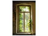 Fenster mit Laub 2
