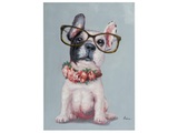 undefined, Kleiner Hund mit Brille