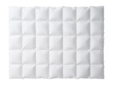 Billerbeck Ganzjahresduvet Montana 100