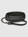 Collar & Lead Set