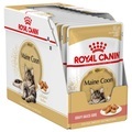 Royal Canin Breed, Royal Canin Breed Maine Coon - 12 x 85 g